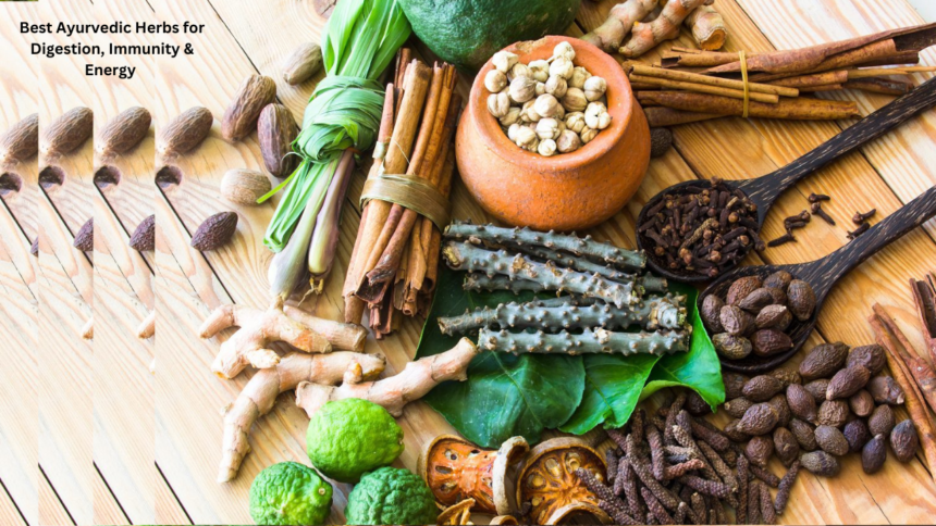 Best Ayurvedic Herbs for Digestion, Immunity & Energy